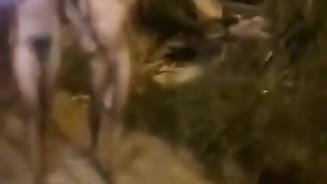 Naked couple caught in public in VGC, Lagos - 4 image