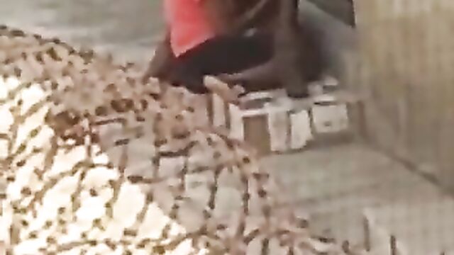 Lagos couple caught doing it outdoors in public - 4 image