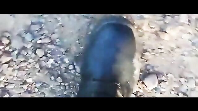 Sleeping Beauty - 5 image