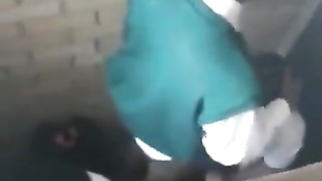 Schoolgirl Giving Schoolboy Blow Job In The Toilet - 4 image