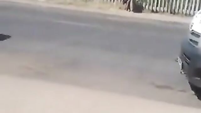 Mad Roadside Sex In Africa Caught On Camera - 1 image