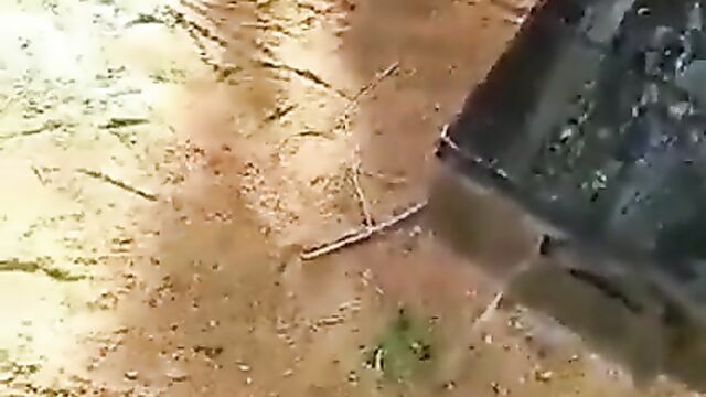 Student bonking sugar mummy with big breasts at a park in public