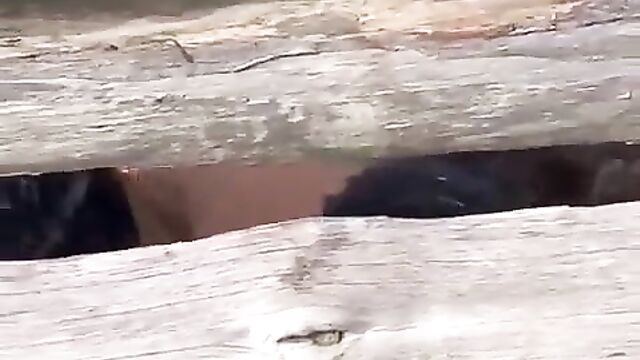 Naked Woman Caught On A Farm, Showing Her Breasts In Public - 5 image