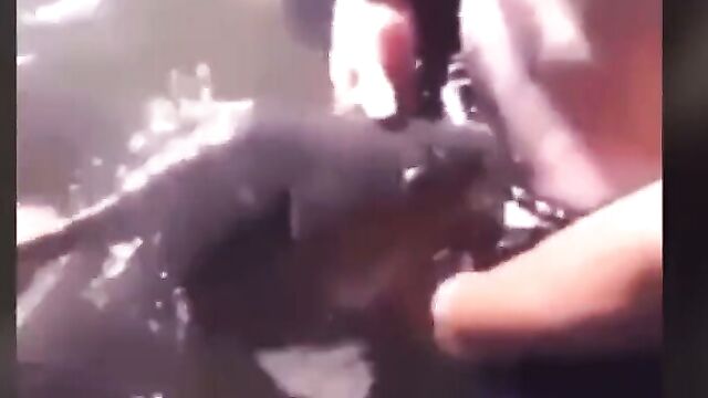 Man having sex with a fish - 5 image