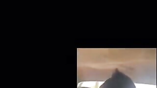 Nigerian lecturer stripping student naked in public compilation video - 1 image