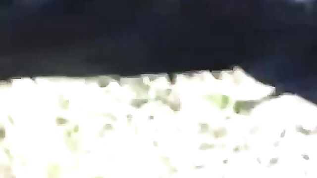 Man exposes chick’s pussy for peeing on a farm - 4 image