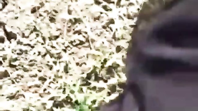 Man exposes chick’s pussy for peeing on a farm - 5 image