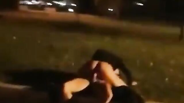 Couple caught bonking in a park at night - 1 image