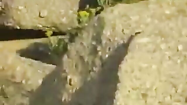 Sex on a hill in public - 3 image