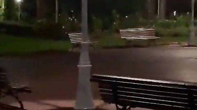 Naked Woman Having Sex In Public At Night - 1 image