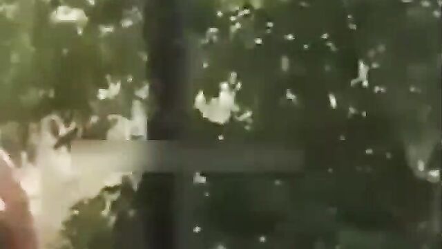 Students Caught Bonking In Someone’s Backyard - 5 image