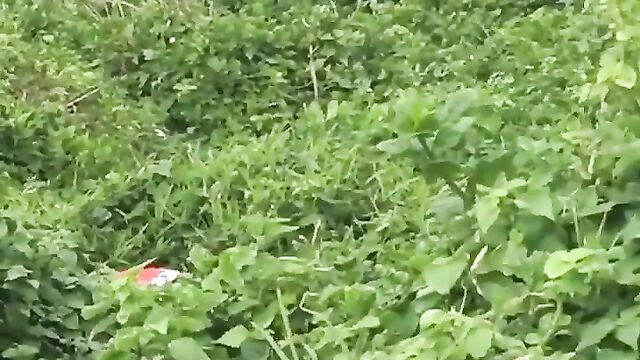 Couple caught discreetly having sex in the bush by the beach side - 4 image