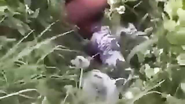 Hot sex in the bush - 4 image