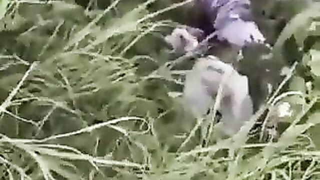 Hot sex in the bush - 5 image