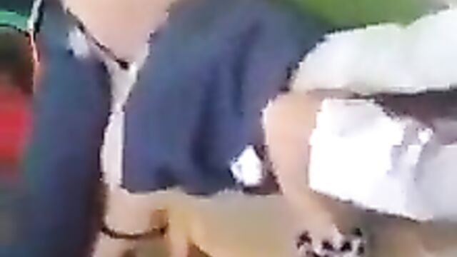 Asian Students Caught Having Sex In Class - 1 image