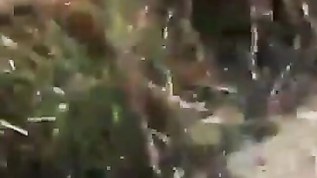 Girl’s pussy exposed in public after security caught her and her boyfriend having sex on a farm - 3 image