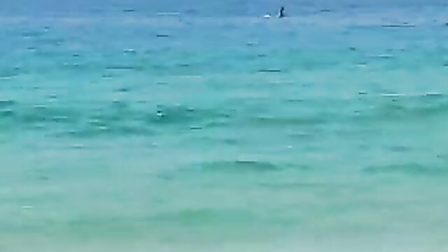 Naked couple caught having sex on floater board in the ocean