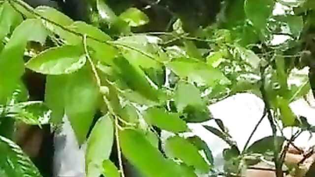 Young couple caught having sex in the bush - 4 image