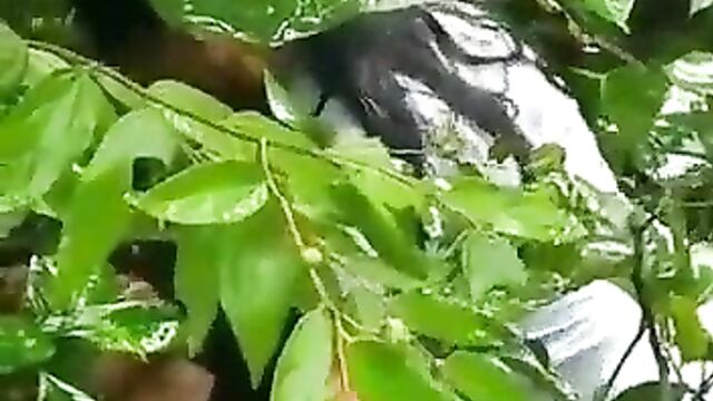 Young couple caught having sex in the bush - 5 image