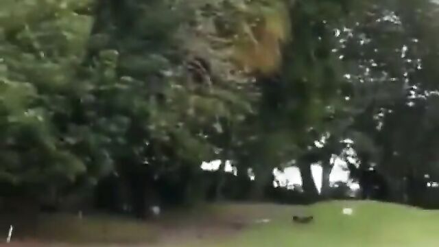 Naked South African couple caught having sex in the bush and running away – Part 1 - 1 image