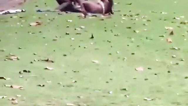 Naked South African couple caught having sex in the bush and running away – Part 1 - 4 image