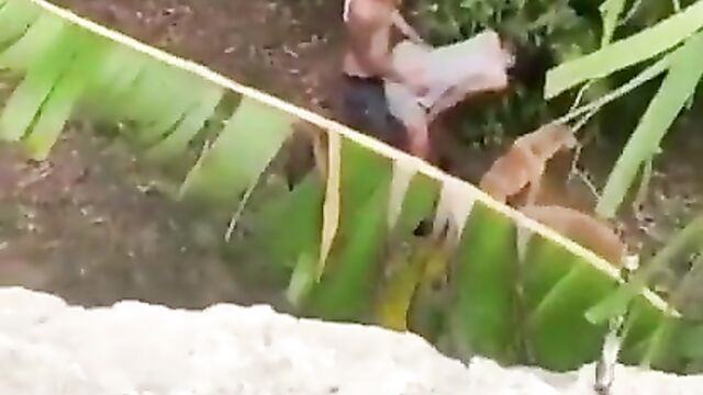 2 Students Caught Having Doggy Style Sex In Public In A Bushy Backyard - 4 image