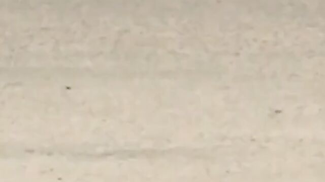 Alleged mad man caught naked in public in Lagos, Nigeria - 5 image