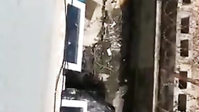 Couple Caught Red-handed Trying To Do Doggy In The Backyard - 3 image