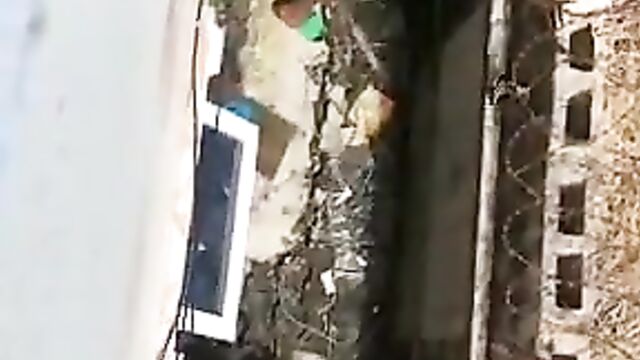 Couple Caught Red-handed Trying To Do Doggy In The Backyard - 4 image