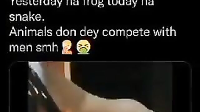 Crazy woman having sex with a snake - 1 image