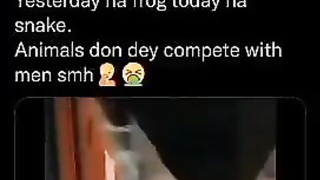 Crazy woman having sex with a snake