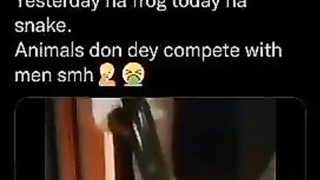 Crazy woman having sex with a snake - 3 image