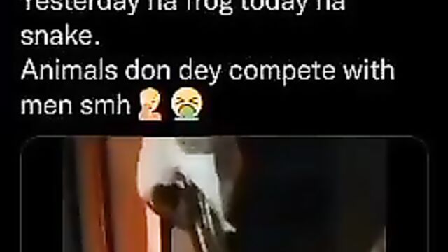 Crazy woman having sex with a snake - 4 image