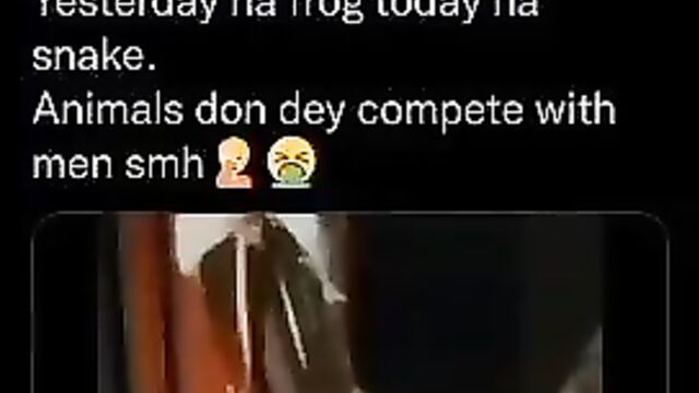 Crazy woman having sex with a snake - 5 image