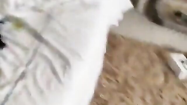 Nude video of NAKED Mzansi girl with big booty & breasts in hotel room with her sugar daddy after sex - 4 image