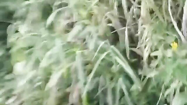 Yoruba Man Allegedly Caught Having Sex With Nigerian School Girl In The Bush - 5 image