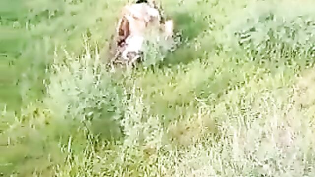 Indian Couple Busted While Having Sex In The Bush In Public