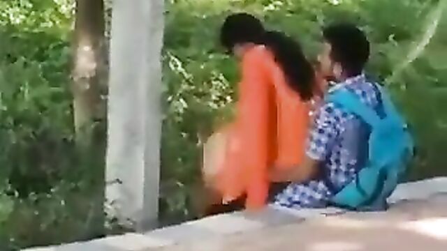 2 Indian University Students Caught Having Sex In The Bush In Public - 4 image