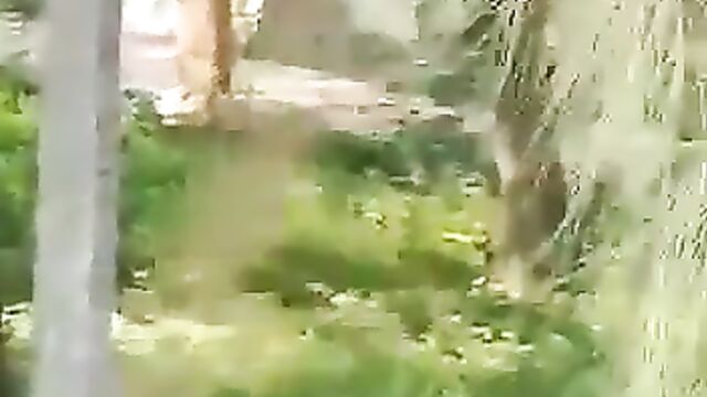 2 Indian University Students Caught Having Sex In The Bush In Public - 5 image