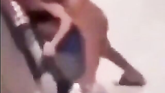 Naked Client Caught Prostitute On The Street In Public After She Allegedly Tried To Run Away With His Bag Of Money After He Entered The Bathroom In A Hotel Room! - 5 image