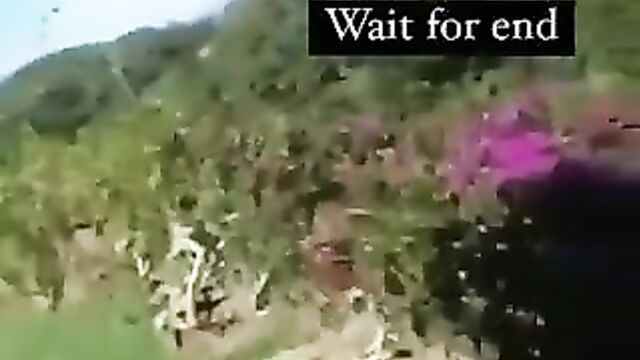 Naked Couple Caught Fucking Doggy Style In The Bush In Public - 3 image