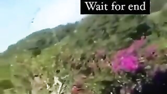 Naked Couple Caught Fucking Doggy Style In The Bush In Public - 4 image