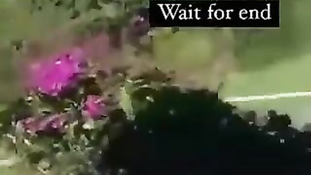 Naked Couple Caught Fucking Doggy Style In The Bush In Public - 5 image