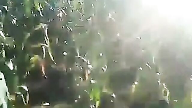 Mzansi Couple Caught Having Sex In The Bush And Busted In Public - 1 image