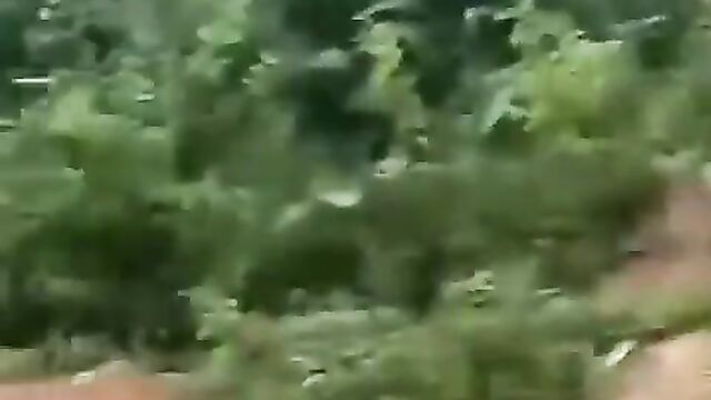 Fulani Man Caught Having Sex With A Cow In Nigeria - 3 image