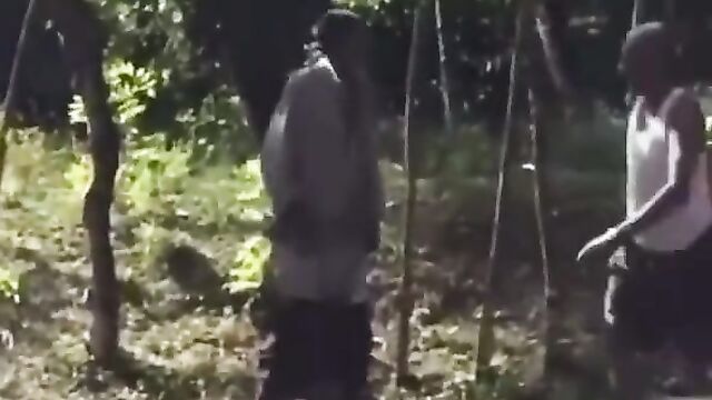 Man Caught Having Sex With A Horse And Beaten In Public