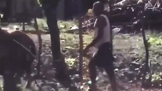 Man Caught Having Sex With A Horse And Beaten In Public - 4 image