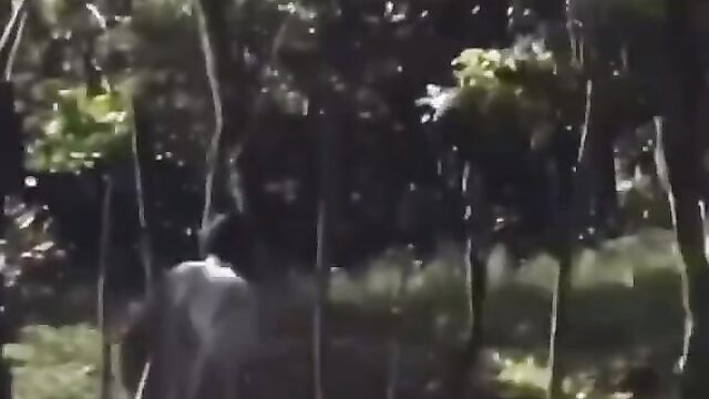 Man Caught Having Sex With A Horse And Beaten In Public - 5 image