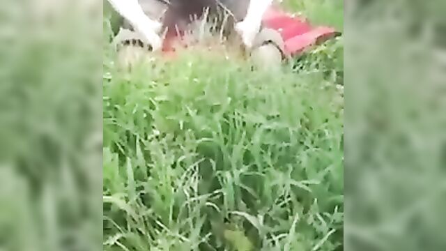 Black Man Caught His Manager Having Sex In The Bush In Public - 2 image