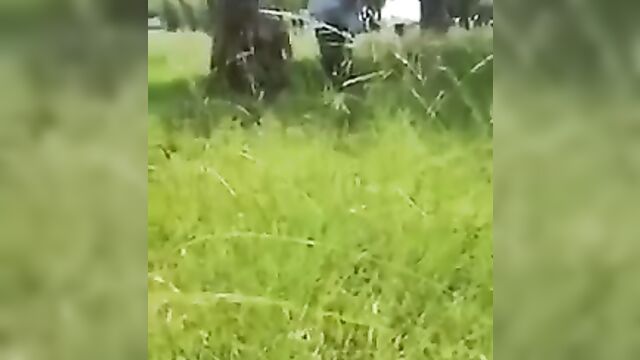 Black Man Caught His Manager Having Sex In The Bush In Public - 5 image